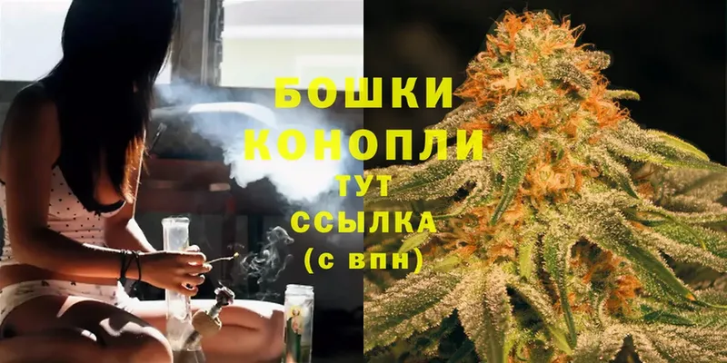 купить наркотик  Богородск  ссылка на мегу рабочий сайт  МАРИХУАНА THC 21% 